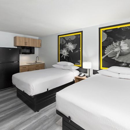 מלון Super 8 By Wyndham Alexandria La מראה חיצוני תמונה
