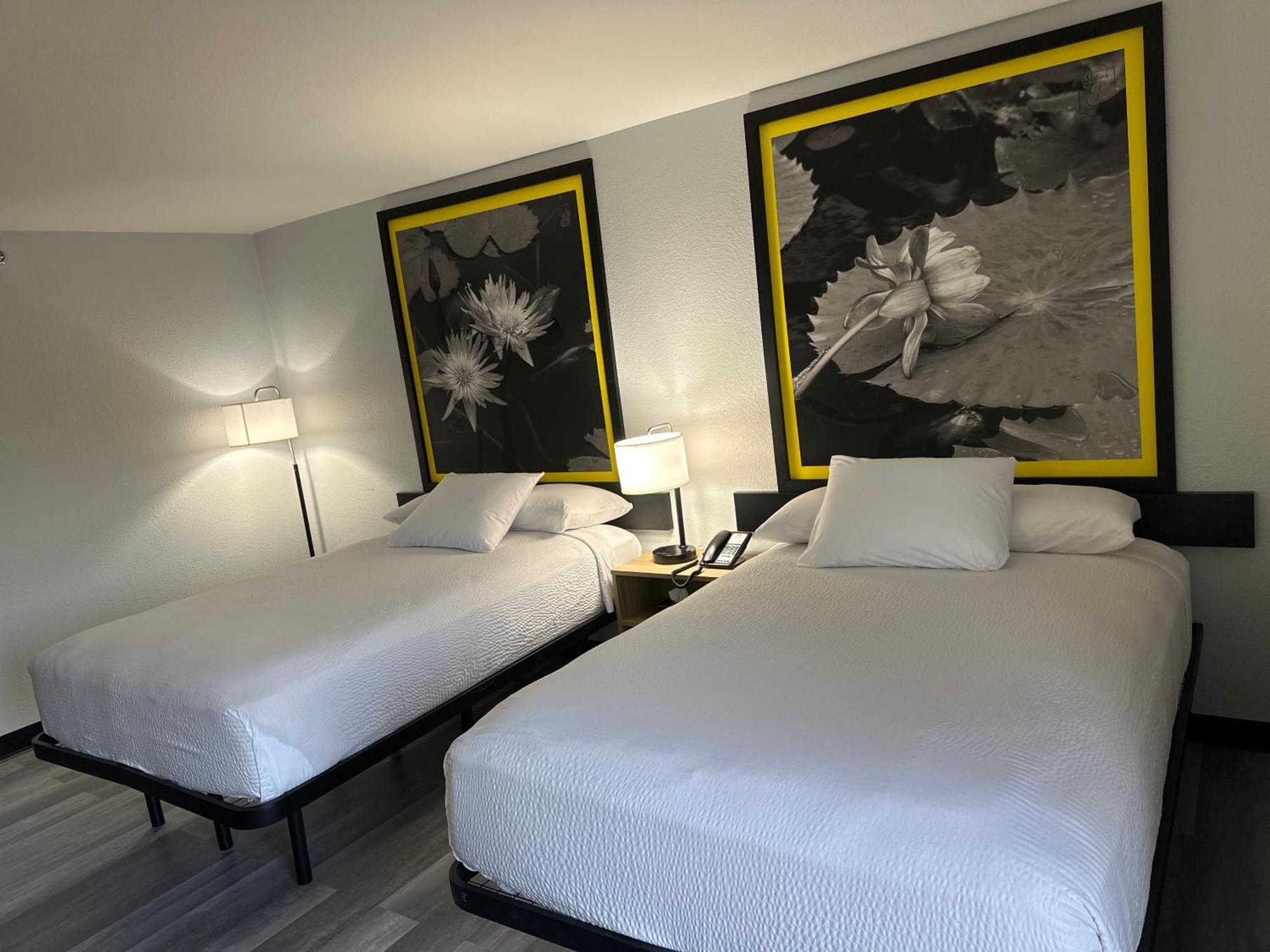 מלון Super 8 By Wyndham Alexandria La מראה חיצוני תמונה