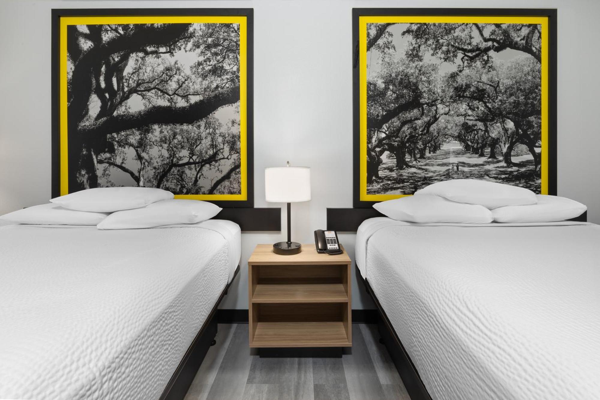 מלון Super 8 By Wyndham Alexandria La מראה חיצוני תמונה